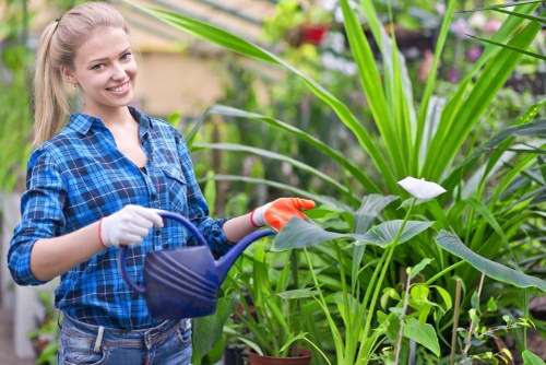 Freshly mowed lawn in Coombe with neat edges