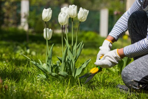 Garden maintenance with PPE and risk assessment procedures