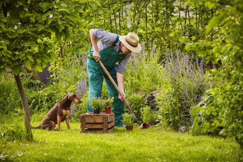 Beautiful Coombe garden maintained with professional landscaping services