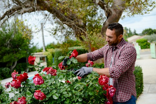 Accessibility request support for local gardening content
