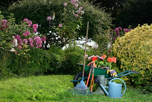 Overgrown garden clearance and restoration work in Coombe