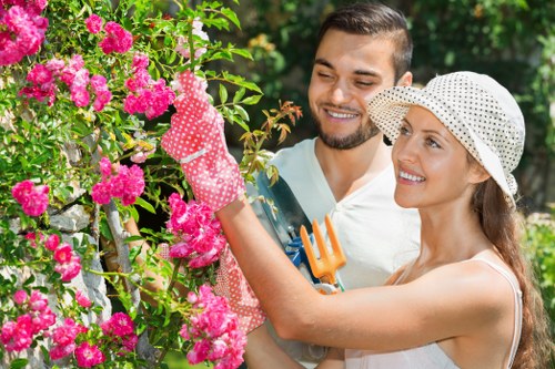 Professional lawn care in Coombe with mowing, feeding, and edging services