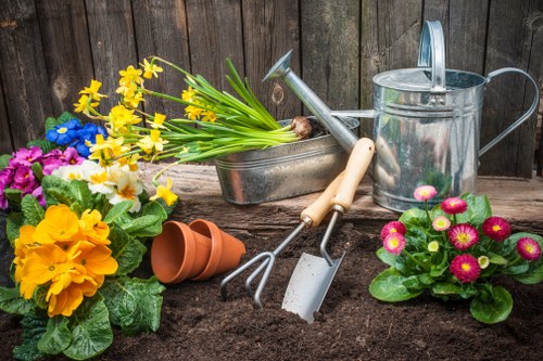 Professional garden waste removal and site tidying in Coombe