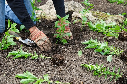 PCI compliant secure payments for Gardeners Coombe