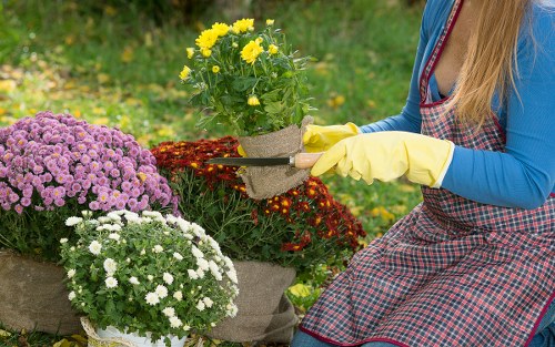 About Us Gardeners Coombe with a balanced and welcoming garden