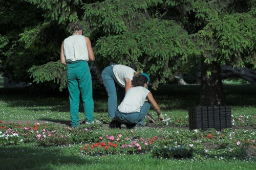 Professional garden maintenance in Coombe during seasonal upkeep