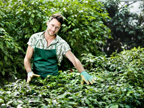 Experienced gardeners in Coombe working on outdoor maintenance