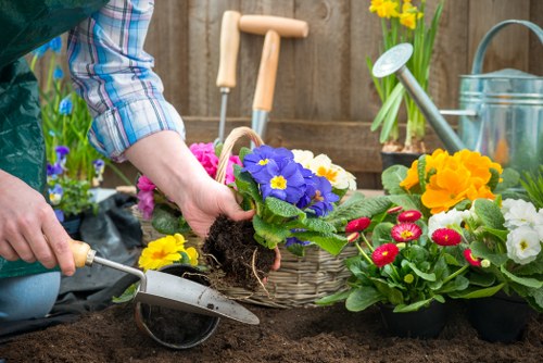 Garden maintenance in Coombe focusing on hedge trimming and lawn care