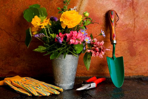 Seasonal garden maintenance in Coombe with planting and pruning