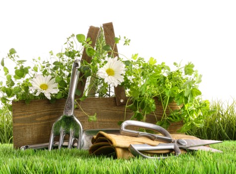 Seasonal garden maintenance in Coombe with tidy planting beds