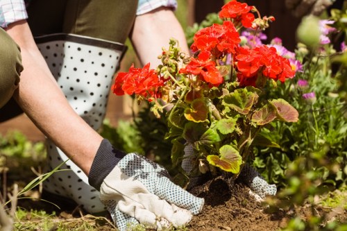 Regular grass cutting service for a healthy Coombe garden