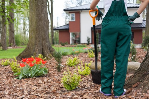 Final garden check after maintenance service with tools and cleared paths