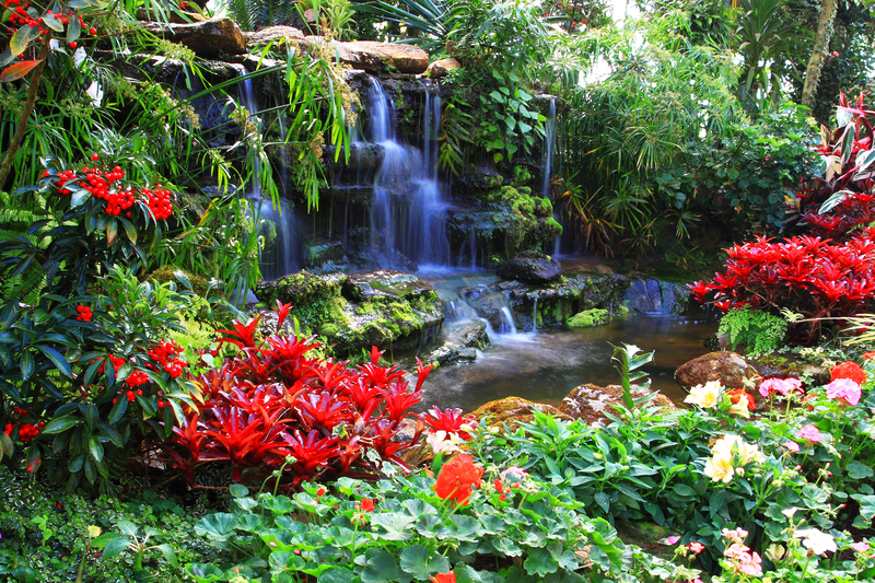landscape design garden