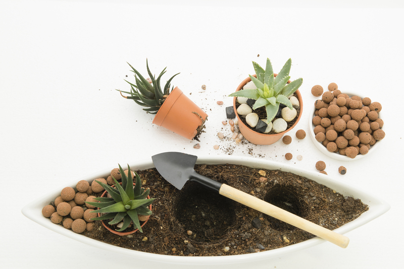 garden design Garden