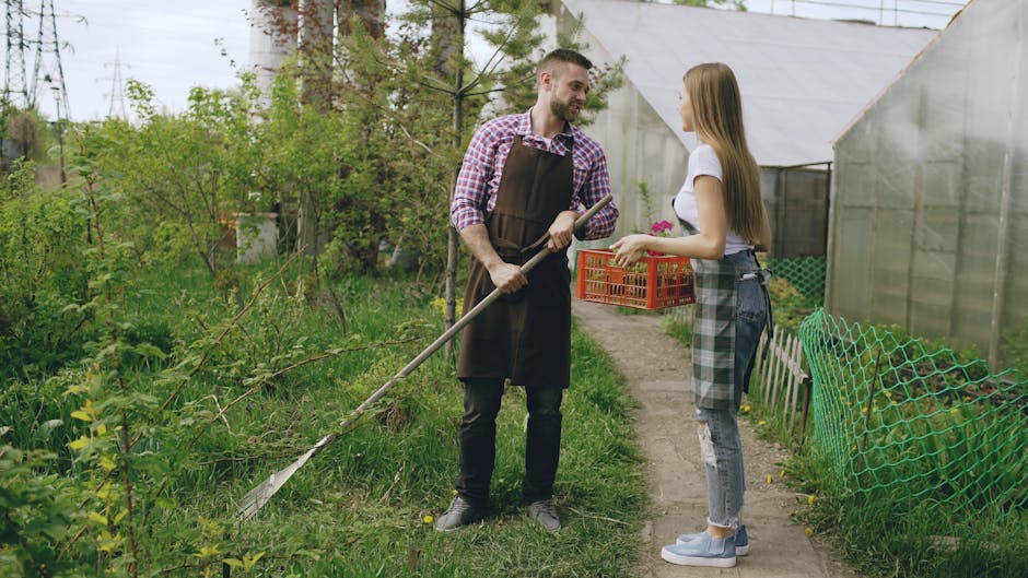 A young woman and a young man are working together in a garden during daytime, engaging in garden maintenance activities. The woman, dressed in a white t-shirt, ripped jeans, and a green checkered apr